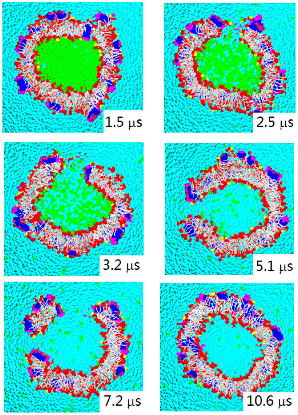 Ijms 14 07932f14 1024