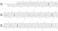 Ijms 14 08093f2a 200