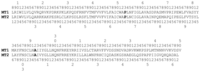 Ijms 14 08093f2b 200