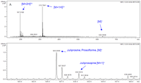 Ijms 14 08496f3a 200
