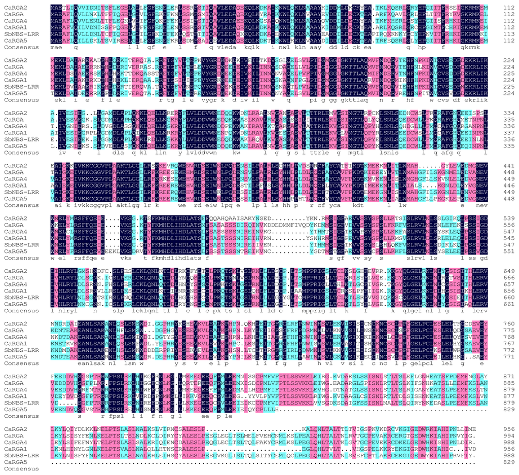 Ijms 14 08985f2 1024