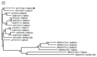 Ijms 14 08985f4 200