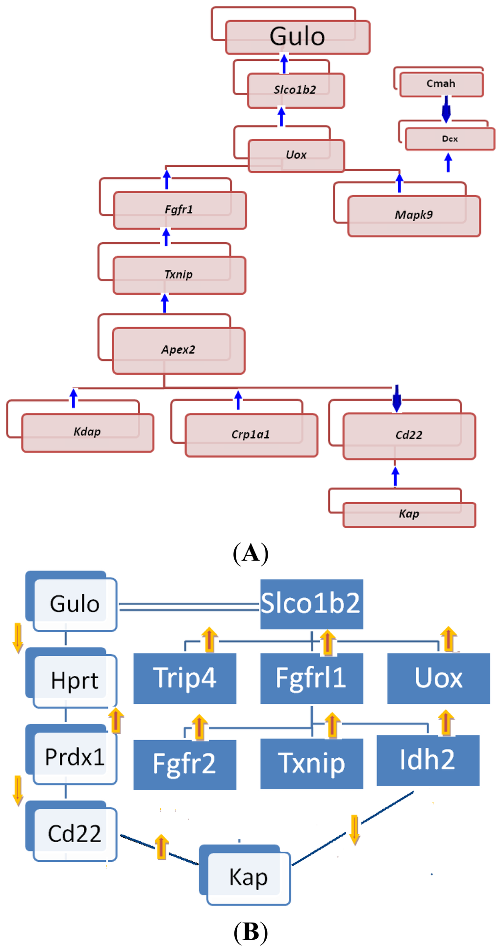 Ijms 14 10042f9 1024