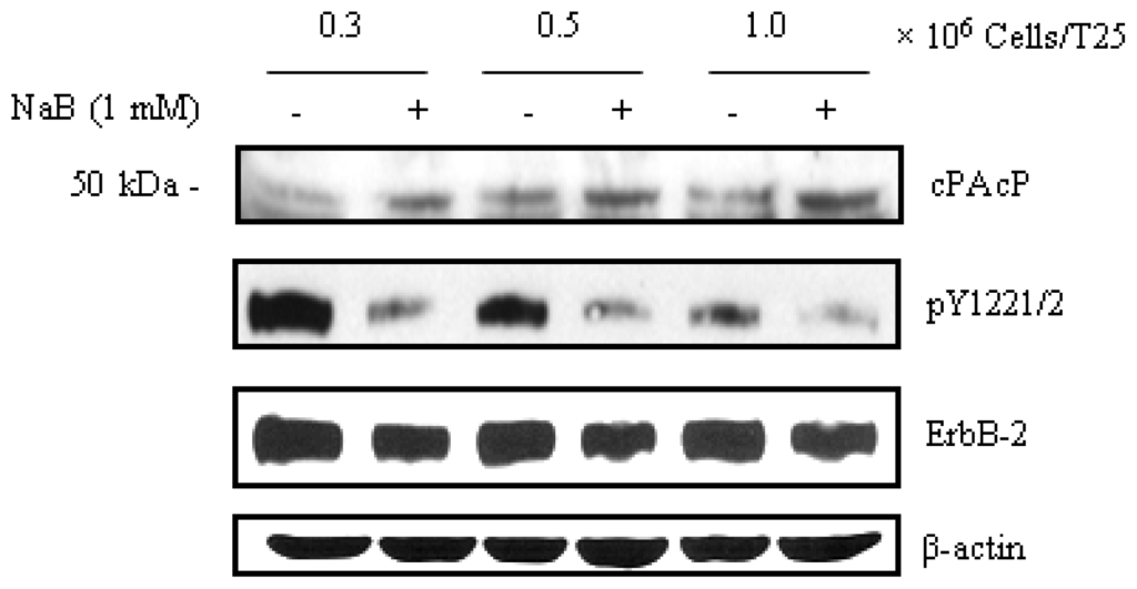 Ijms 14 10438f4 1024
