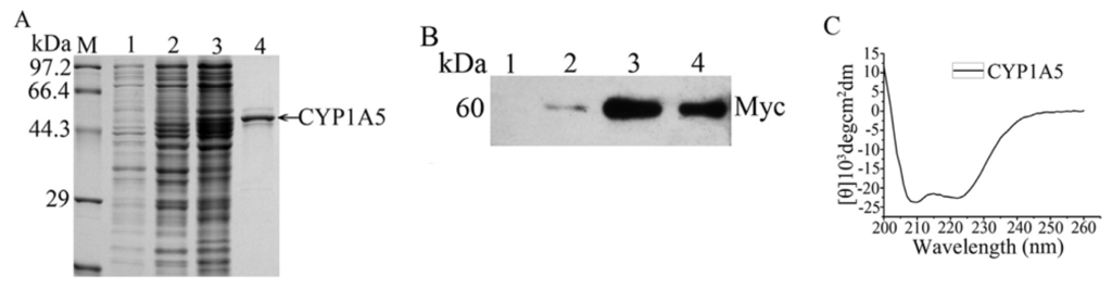 Ijms 14 10809f4 1024