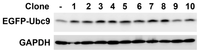 Ijms 14 11061f2 200