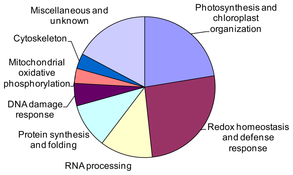 Biology Of Plants 7th Edition Raven Pdf Merge