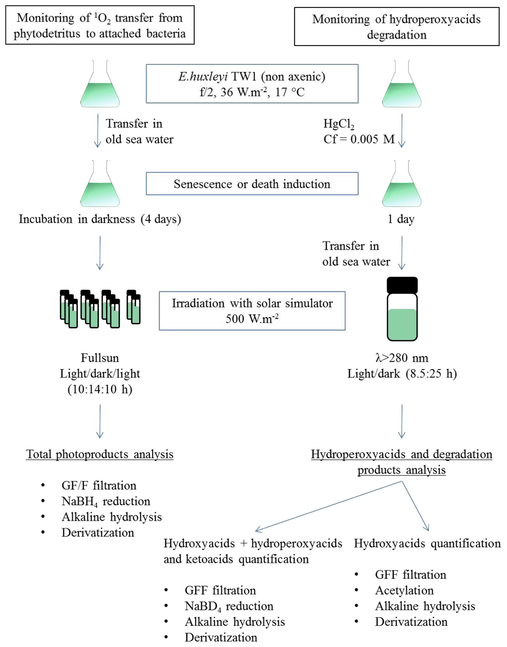 Ijms 14 11795f9 1024