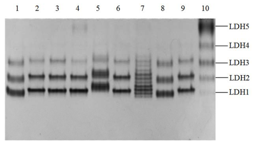 Ijms 14 11994f1 1024