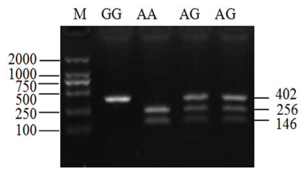 Ijms 14 11994f2 1024