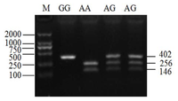 Ijms 14 11994f2 200