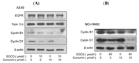 Ijms 14 12023f4 200