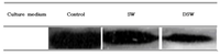 Ijms 14 12205f3 200