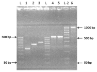 Ijms 14 12764f3 200