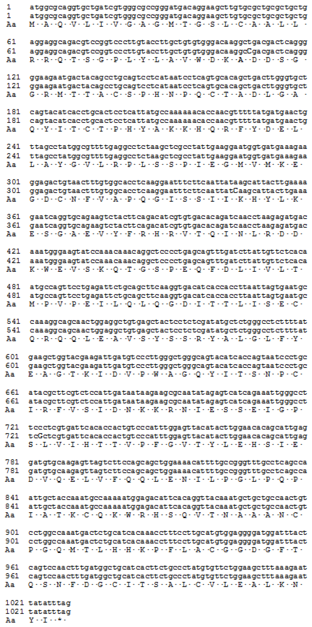 Variant Russian Transcription Of Yevdokiya 75