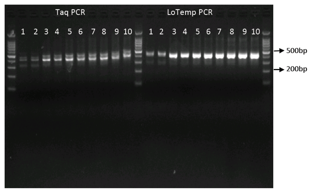 Ijms 14 12853f4 1024