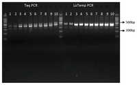 Ijms 14 12853f4 200