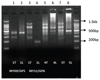 Ijms 14 12853f6 200
