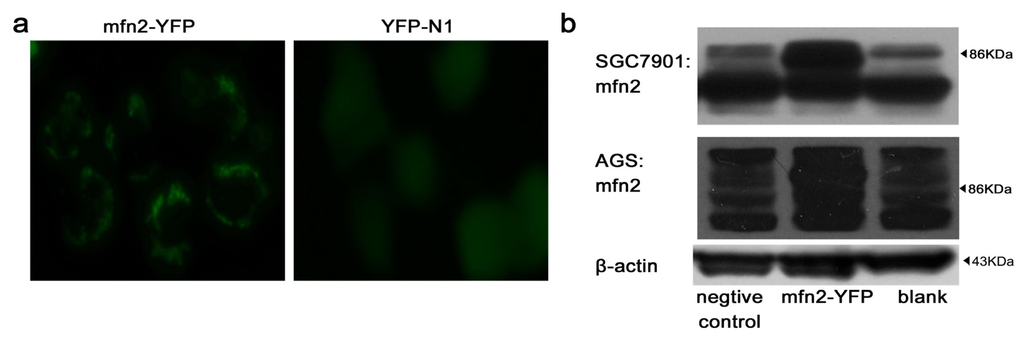 Ijms 14 13005f2 1024