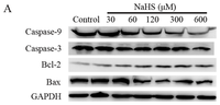 Ijms 14 13093f5a 200