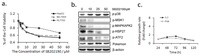 Ijms 14 13511f3a 200