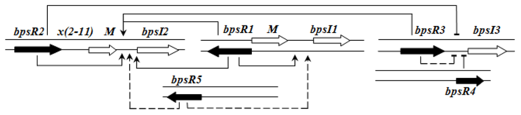 Ijms 14 13727f6 1024