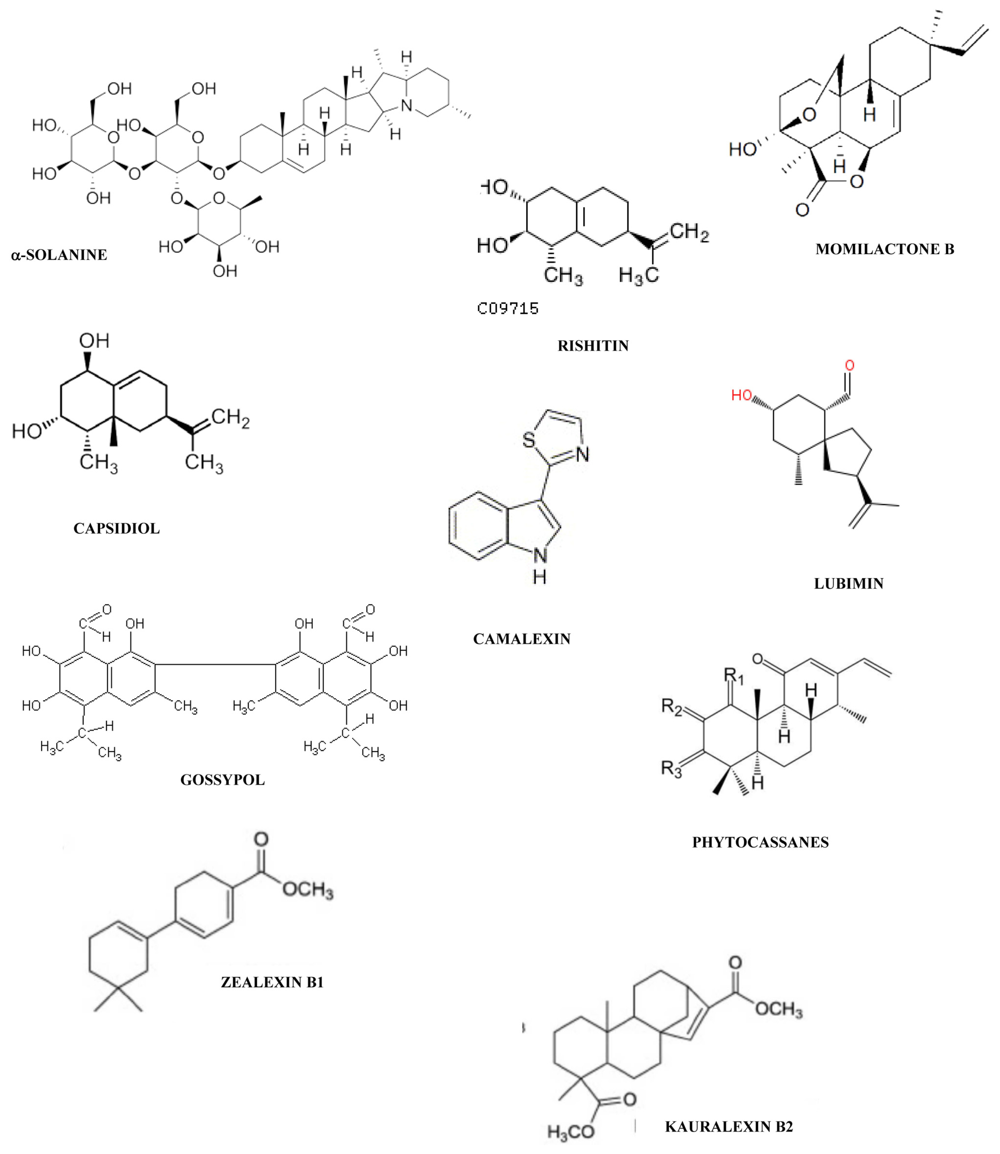 IJMS Free FullText Modulation of Phytoalexin Biosynthesis in