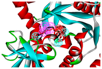 Ijms 14 14225f2 200