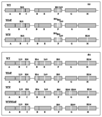 Ijms 14 14287f4 200