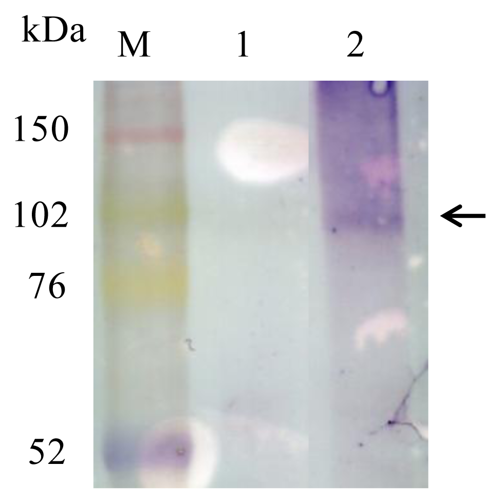 Ijms 14 14426f3 1024