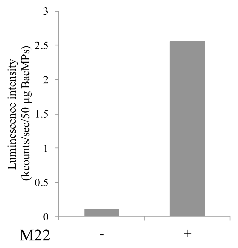 Ijms 14 14426f6 1024