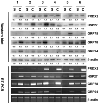 Ijms 14 14439f4 200