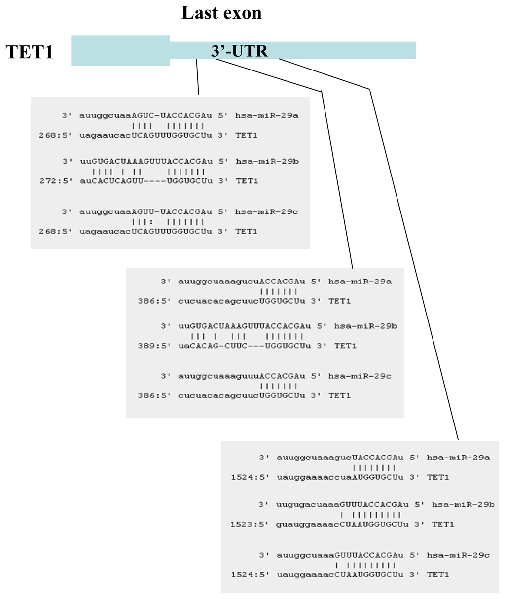 Ijms 14 14647f1 1024