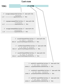 Ijms 14 14647f2 200