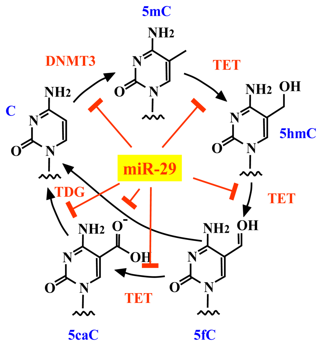Ijms 14 14647f6 1024