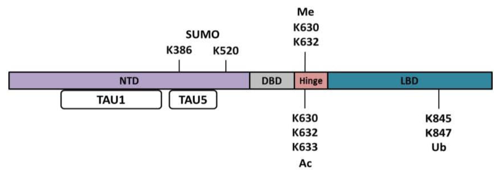Ijms 14 14833f4 1024