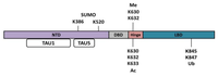 Ijms 14 14833f4 200
