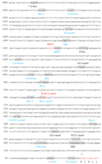 Ijms 14 14872f3 200
