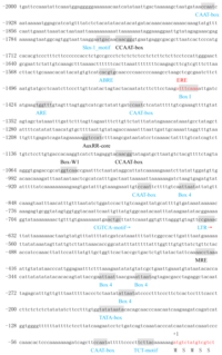 Ijms 14 14872f4 200