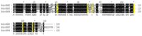 Ijms 14 14936f1 200