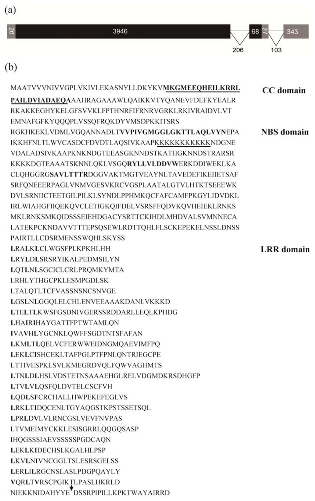Ijms 14 15330f1 1024