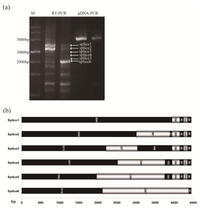 Ijms 14 15330f4 200