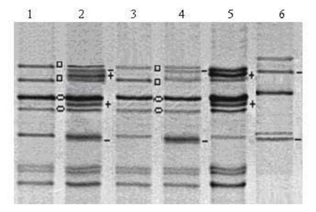 Ijms 14 15595f3 1024