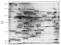 Ijms 14 15860f1 200