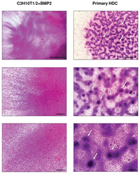 Ijms 14 16141f1 200