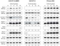 Ijms 14 16141f3 200