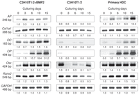 Ijms 14 16141f5 200