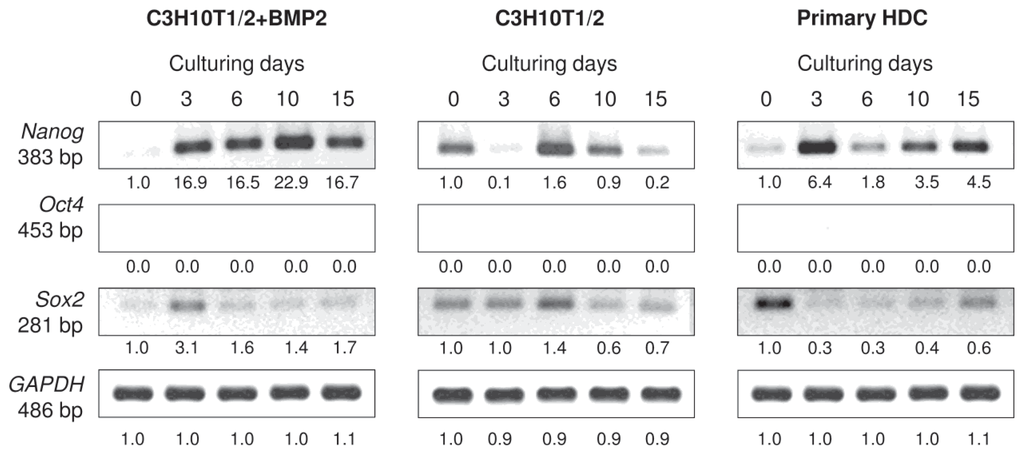 Ijms 14 16141f8 1024