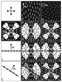 Ijms 14 16303f14 200