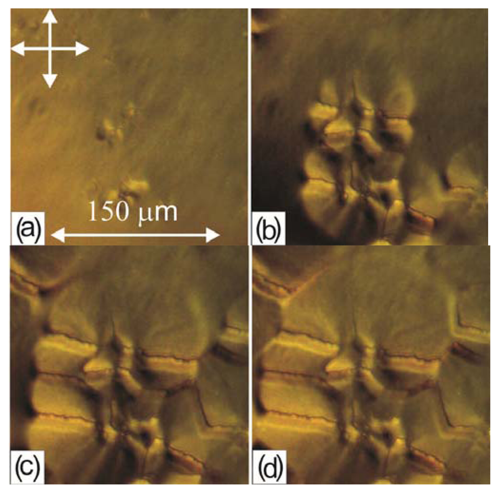 Ijms 14 16303f6 1024